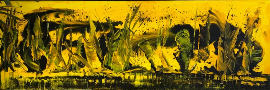 150x50 1