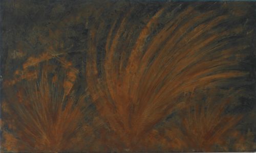 DSC 0015